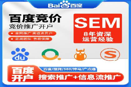 SEO策略在电商平台的成功应用案例